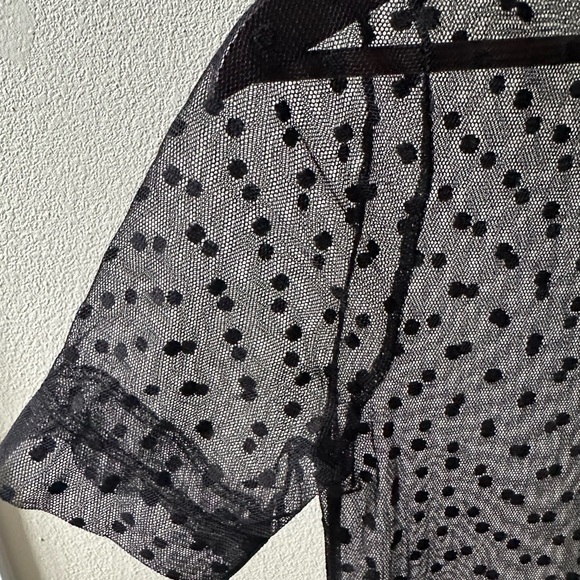 Women’s Sheer Mesh Dress with Polka Dots - Picture 9 of 9